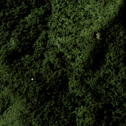 Satellite imagery of III TAMAHUNGA, NZ