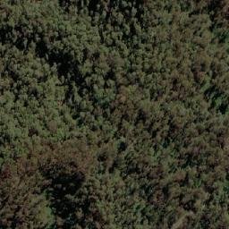 Satellite imagery of Scammels Lookout, AU