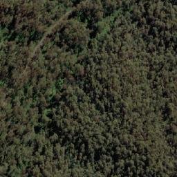 Satellite imagery of Scammels Lookout, AU