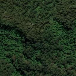 Satellite imagery of Mount Dromedary, AU