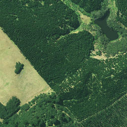 Satellite imagery of Mahipatua Pa, NZ