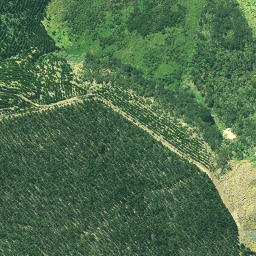 Satellite imagery of Mahipatua Pa, NZ