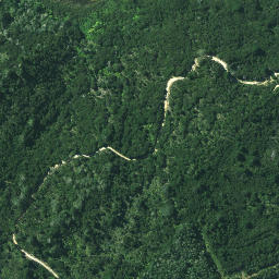 Satellite imagery of Pareotaunga Point, NZ