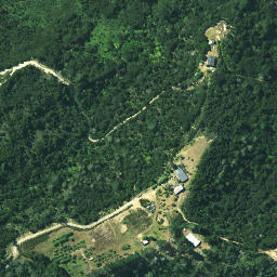Satellite imagery of Pareotaunga Point, NZ