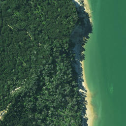 Satellite imagery of Pareotaunga Point, NZ