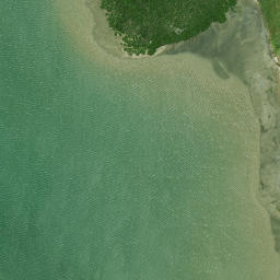 Satellite imagery of Schnapper Point, NZ