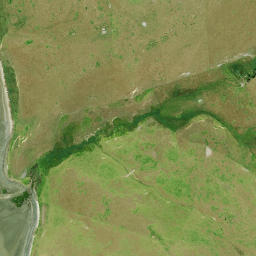 Satellite imagery of Schnapper Point, NZ
