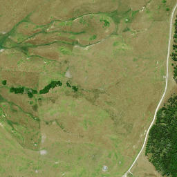 Satellite imagery of Schnapper Point, NZ
