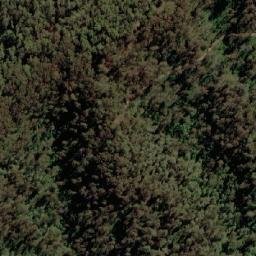 Satellite imagery of Scammels Lookout, AU