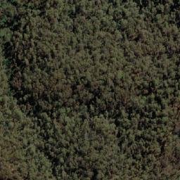 Satellite imagery of Scammels Lookout, AU