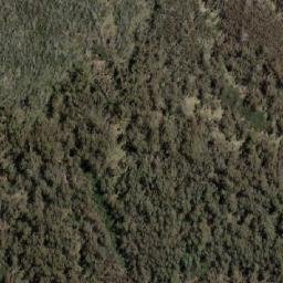 Satellite imagery of Sma 1232, AU