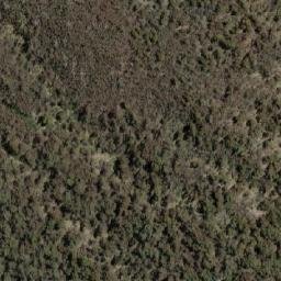 Satellite imagery of Sma 1232, AU