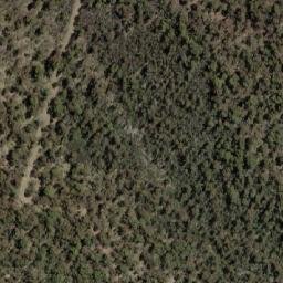 Satellite imagery of Sma 1232, AU