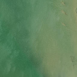 Satellite imagery of Schnapper Point, NZ
