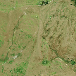 Satellite imagery of Schnapper Point, NZ