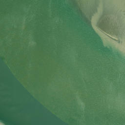 Satellite imagery of Schnapper Point, NZ