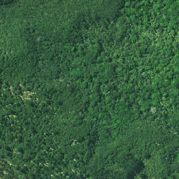 Satellite imagery of 3231, NZ