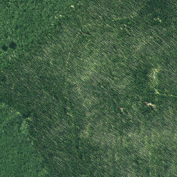 Satellite imagery of 3231, NZ