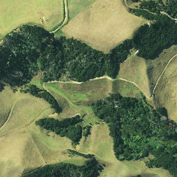 Satellite imagery of W WHAREPAPA PA, NZ