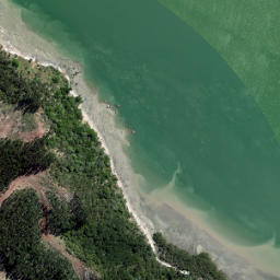 Satellite imagery of 16 ORUAWHARO HEADS, NZ
