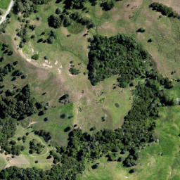 Satellite imagery of WHAREHINE, NZ