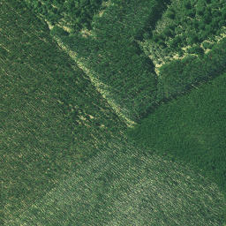Satellite imagery of 3231, NZ