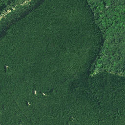 Satellite imagery of 3231, NZ