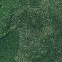 Satellite imagery of 3231, NZ