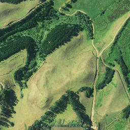 Satellite imagery of W WHAREPAPA PA, NZ