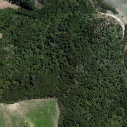 Satellite imagery of 16 ORUAWHARO HEADS, NZ