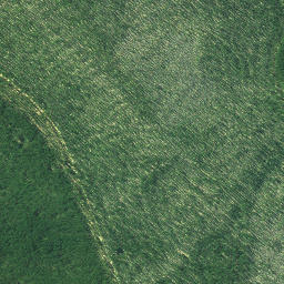 Satellite imagery of 3231, NZ