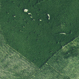 Satellite imagery of 3231, NZ