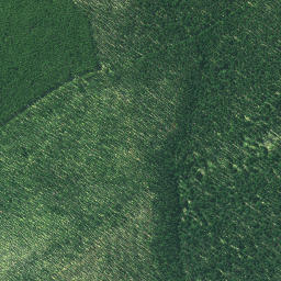 Satellite imagery of 3231, NZ