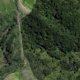 Satellite imagery of 16 ORUAWHARO HEADS, NZ