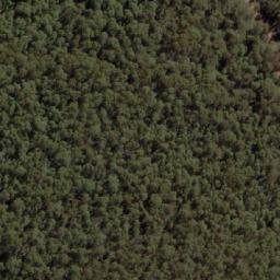 Satellite imagery of Mount Cudgewa, AU