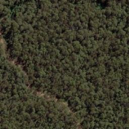 Satellite imagery of Mount Cudgewa, AU