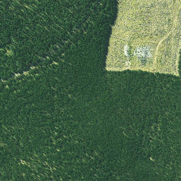Satellite imagery of 3232, NZ