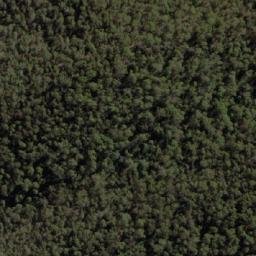 Satellite imagery of Mount Cudgewa, AU