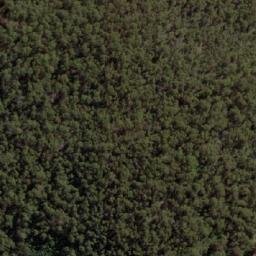 Satellite imagery of Mount Cudgewa, AU