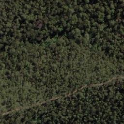 Satellite imagery of Mount Cudgewa, AU