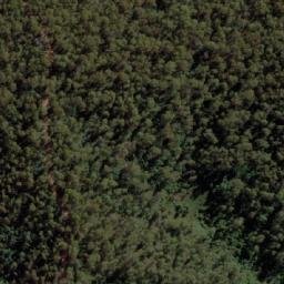 Satellite imagery of Mount Cudgewa, AU