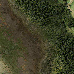 Satellite imagery of Tokanui Point, NZ