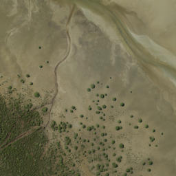 Satellite imagery of Tokanui Point, NZ