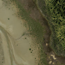 Satellite imagery of Tokanui Point, NZ