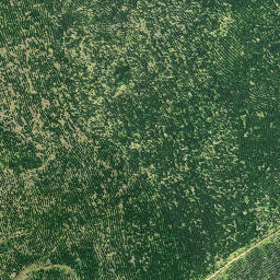 Satellite imagery of 3261, NZ
