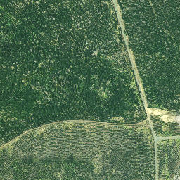 Satellite imagery of 3261, NZ