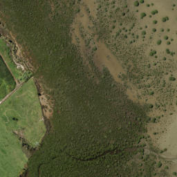 Satellite imagery of Tokanui Point, NZ