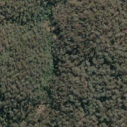 Satellite imagery of Wallaby Mine, AU