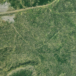 Satellite imagery of 3261, NZ