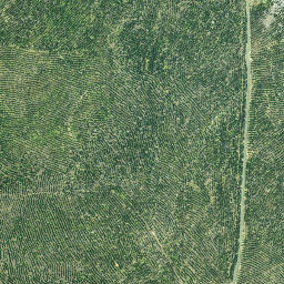 Satellite imagery of 3261, NZ